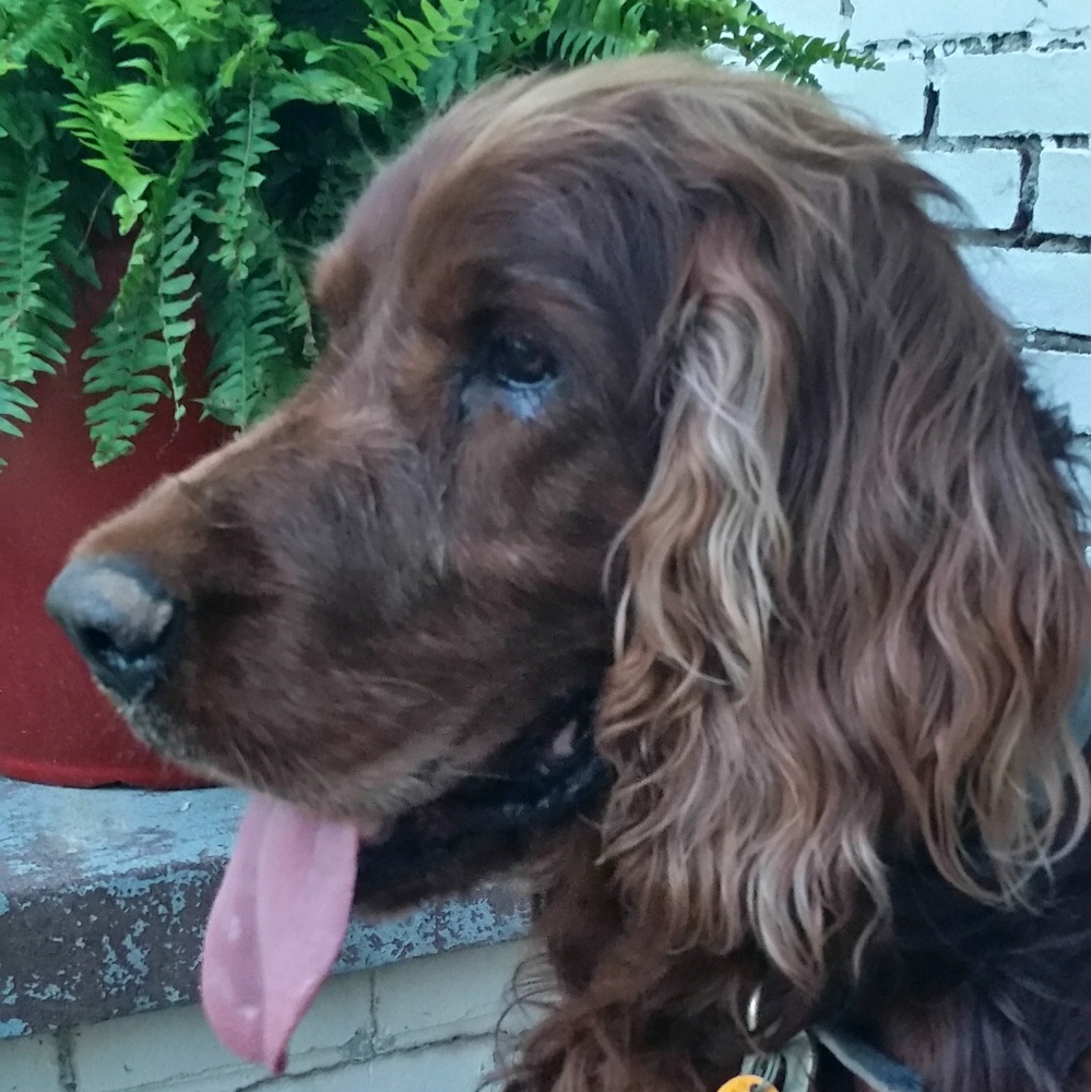 Meet your Posher, Kerri